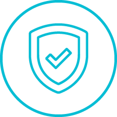 Icons End To End Security Icon