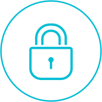 Secure Icon