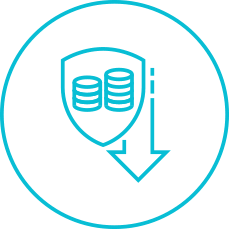 Icon Security Costs